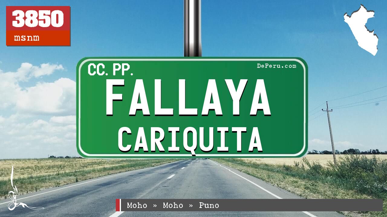 Fallaya Cariquita