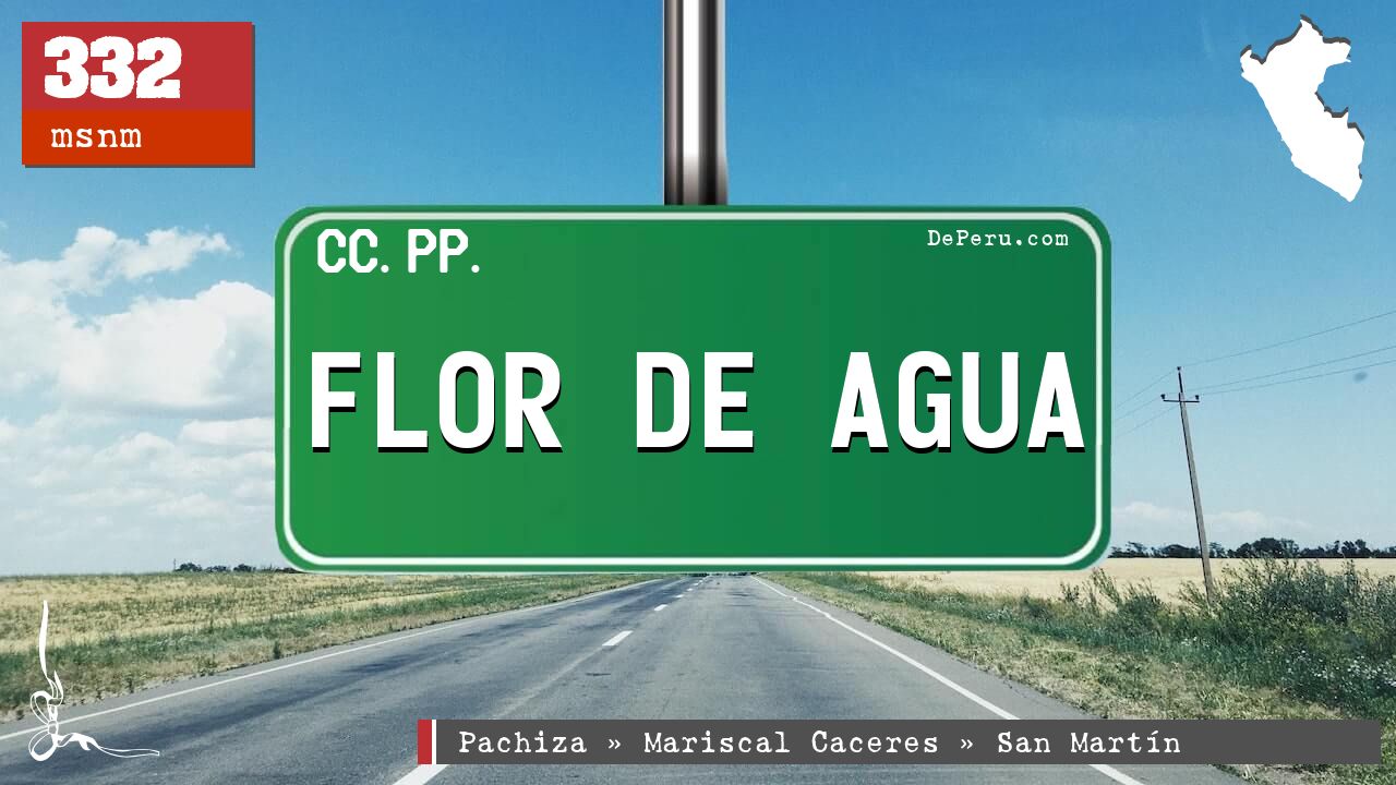 FLOR DE AGUA