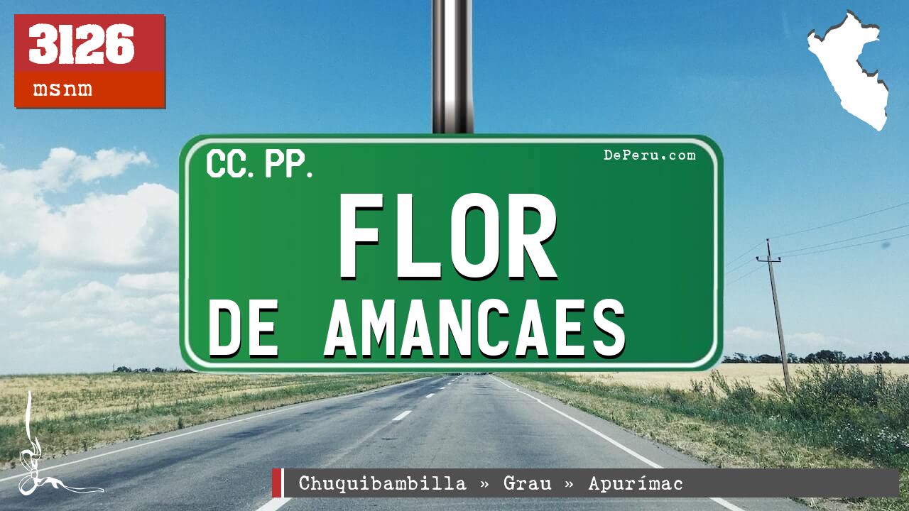 Flor de Amancaes