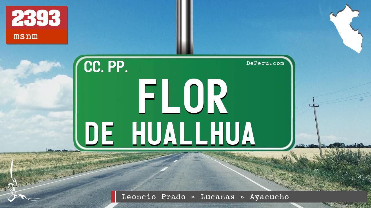 Flor de Huallhua