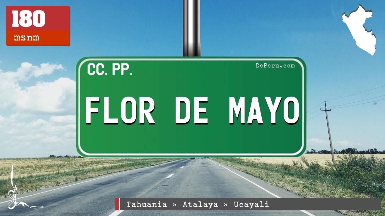 Flor de Mayo