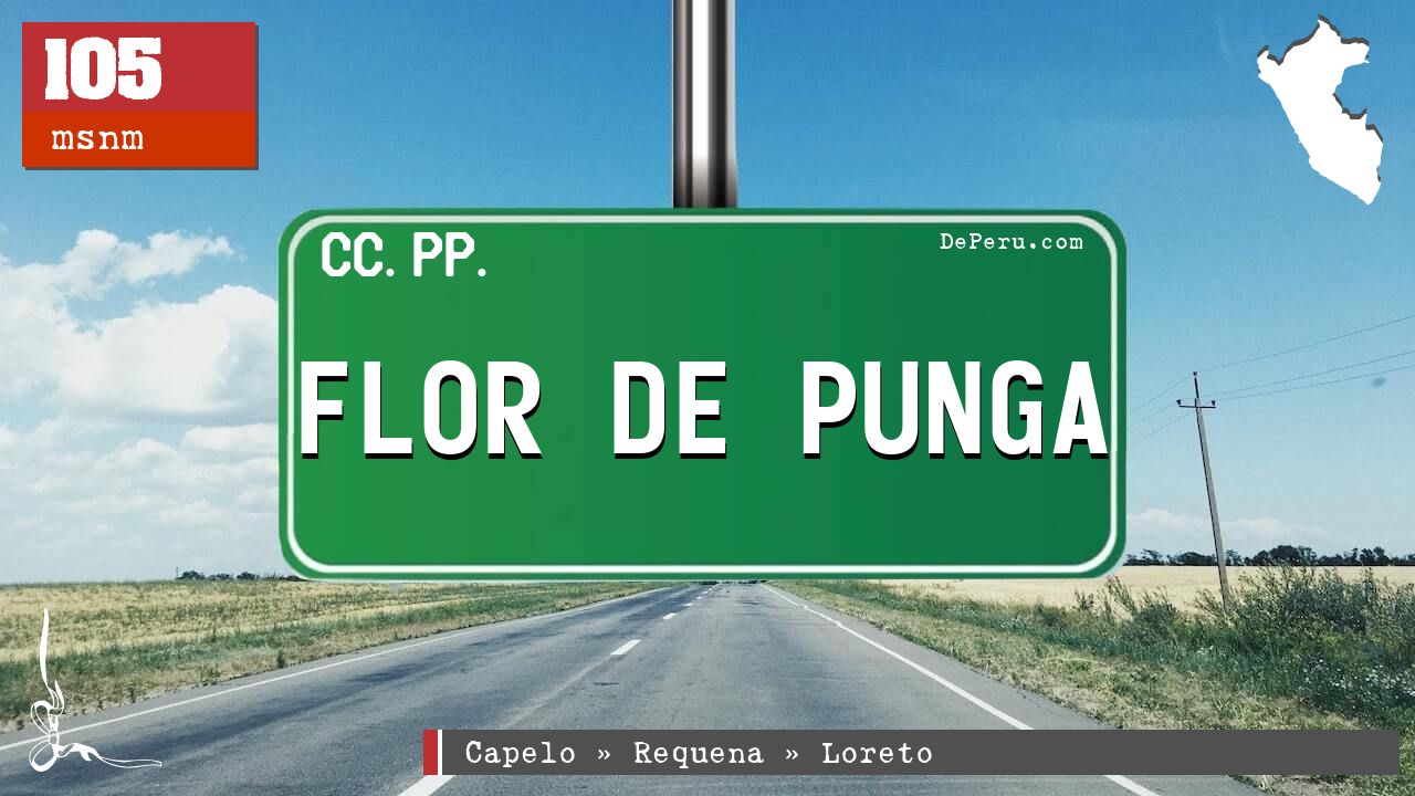 Flor de Punga