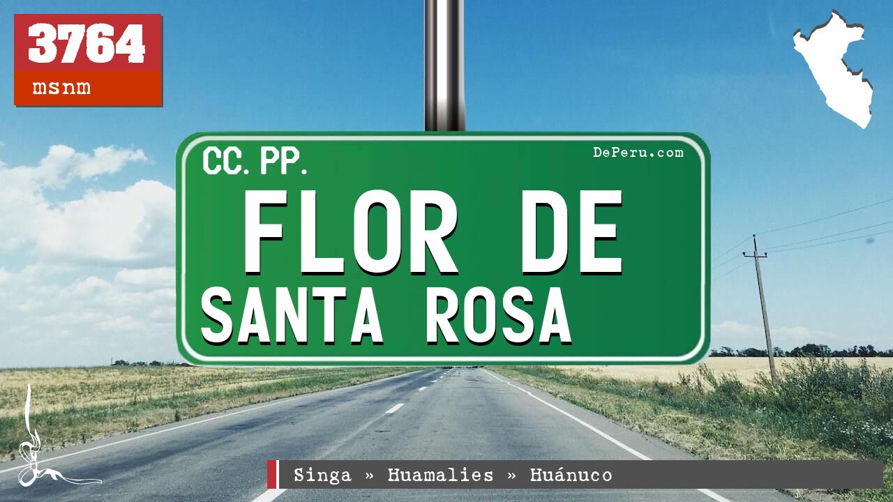 Flor de Santa Rosa