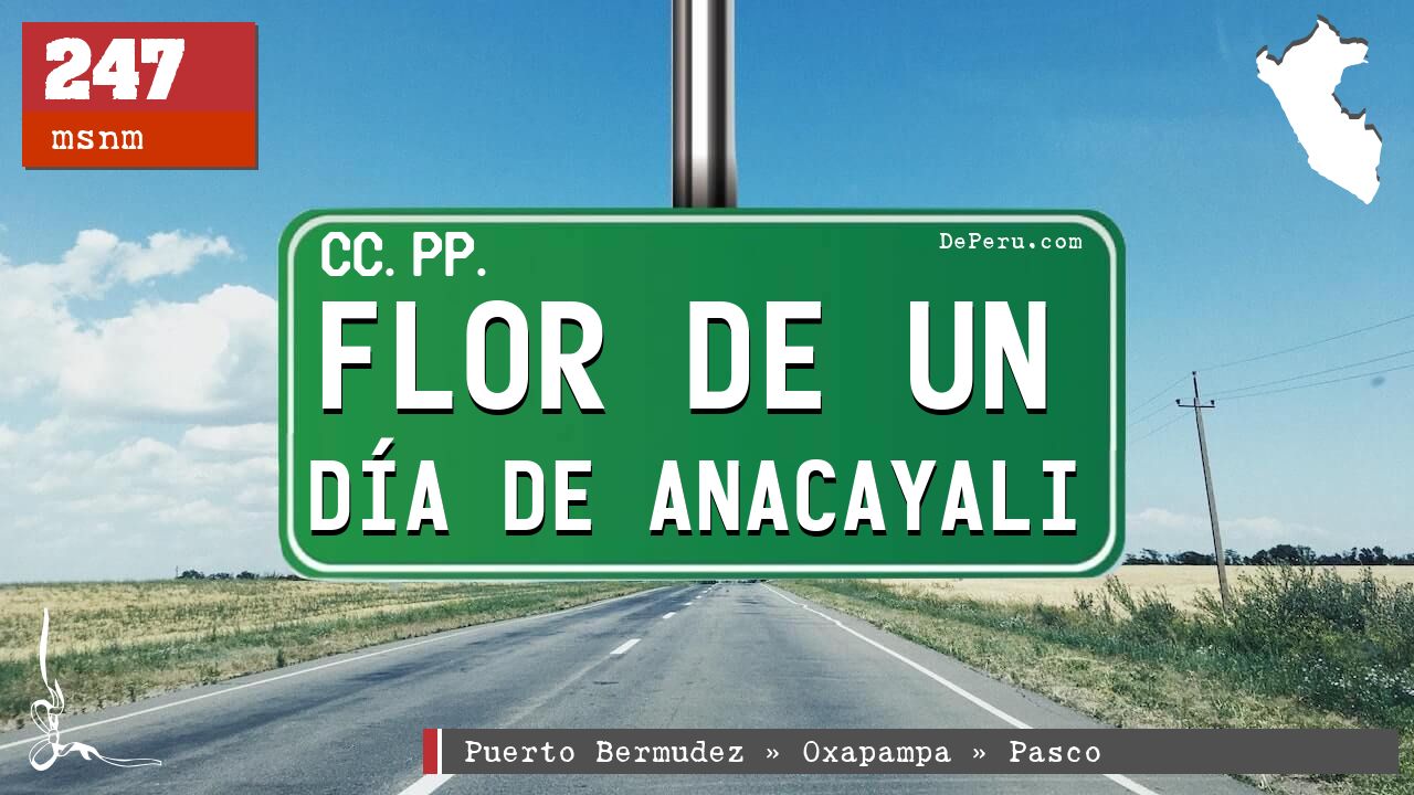 Flor de Un Da de Anacayali