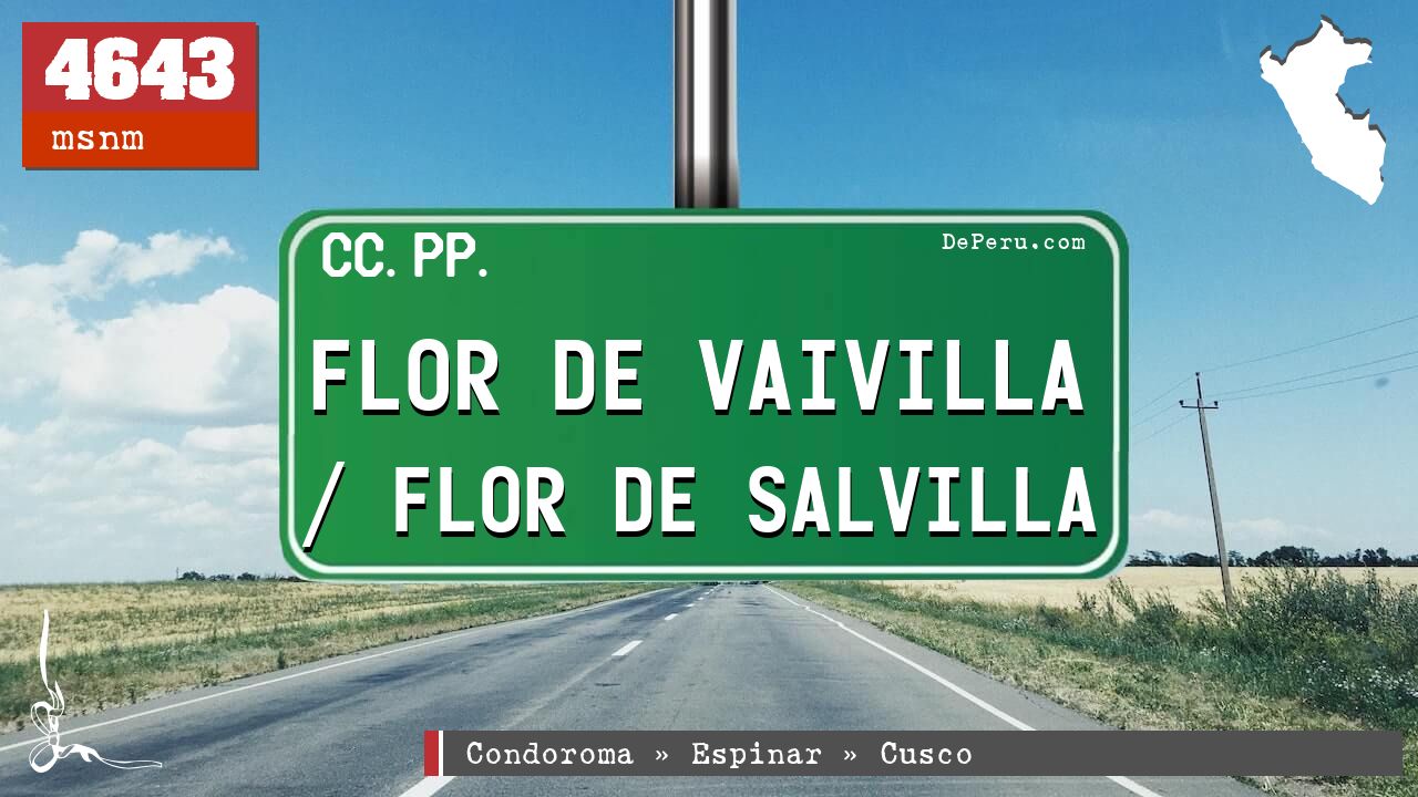 Flor de Vaivilla / Flor de Salvilla