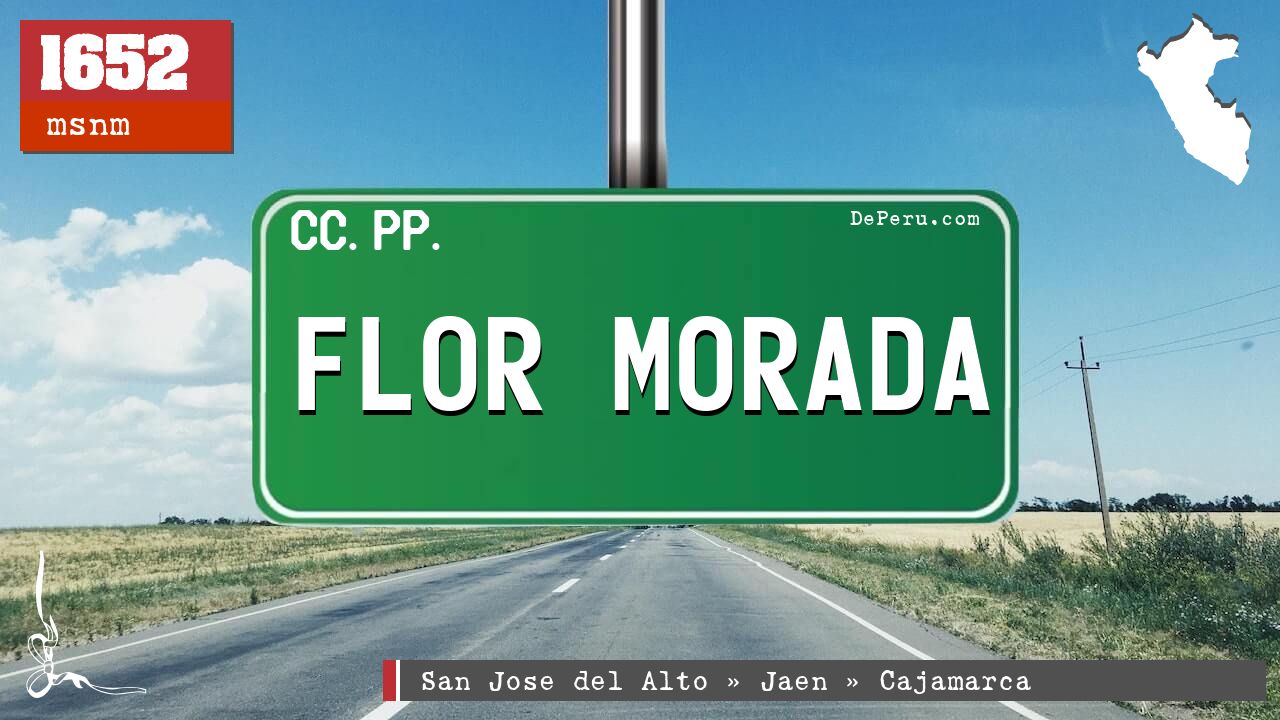 Flor Morada