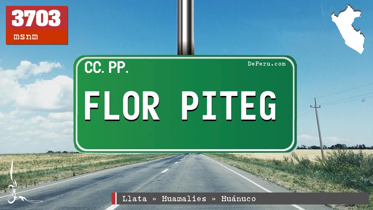 FLOR PITEG