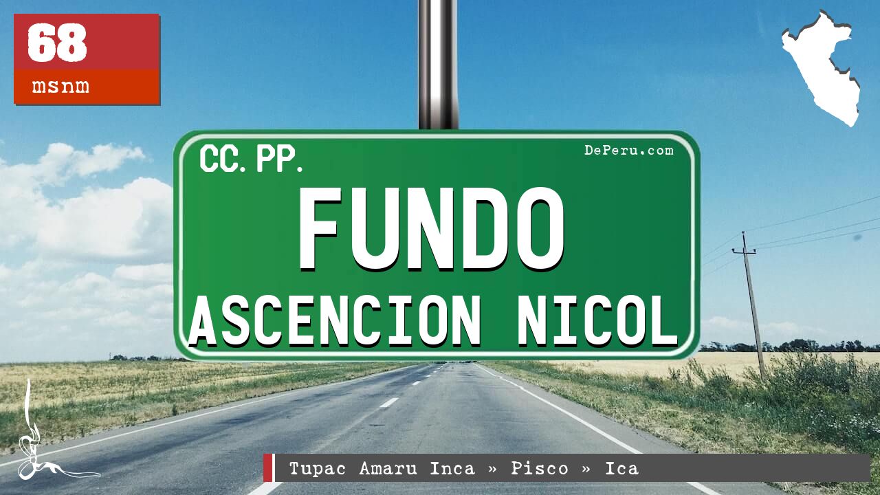 Fundo Ascencion Nicol