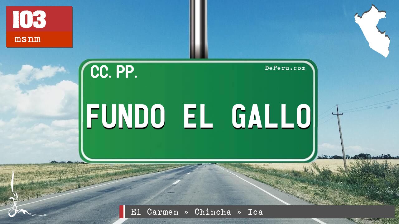 Fundo El Gallo