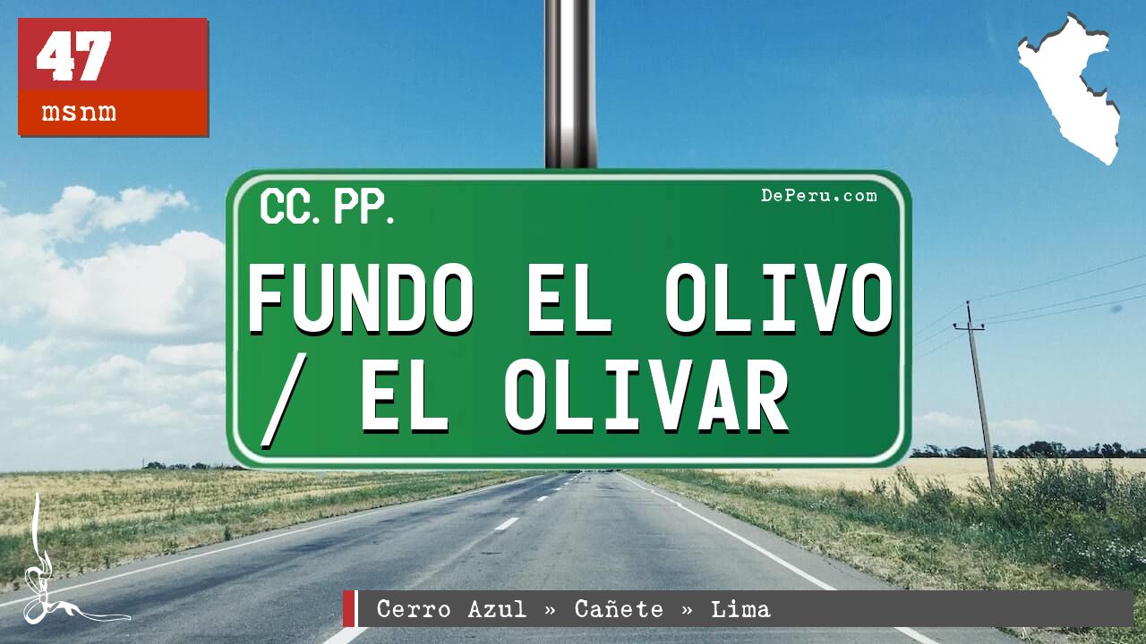 Fundo El Olivo / El Olivar