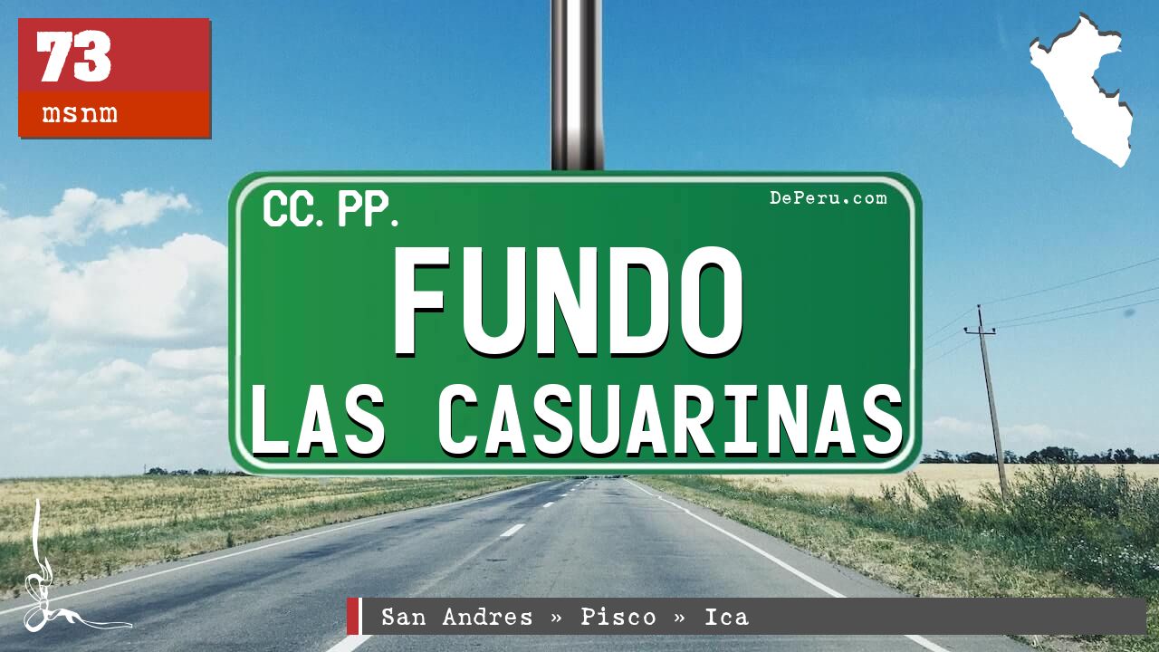 Fundo Las Casuarinas