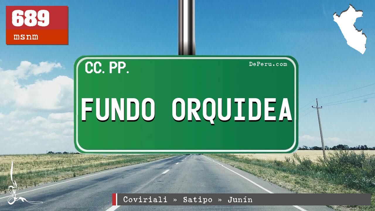 Fundo Orquidea