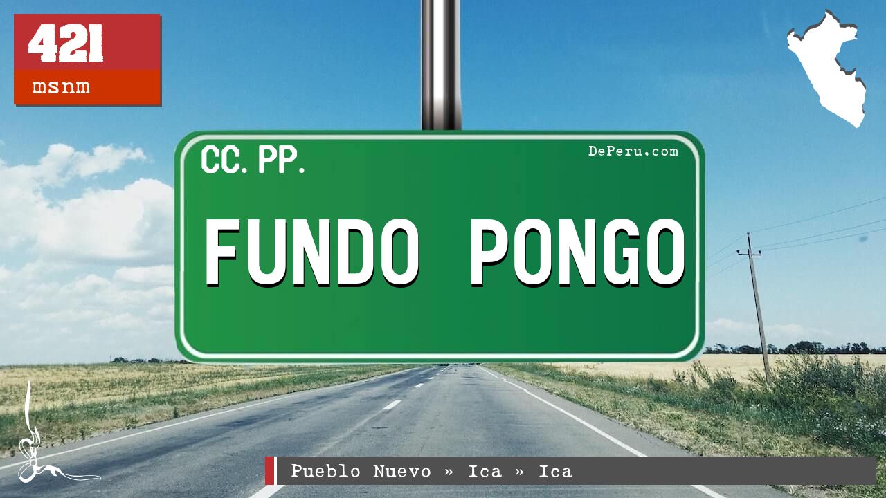 FUNDO PONGO