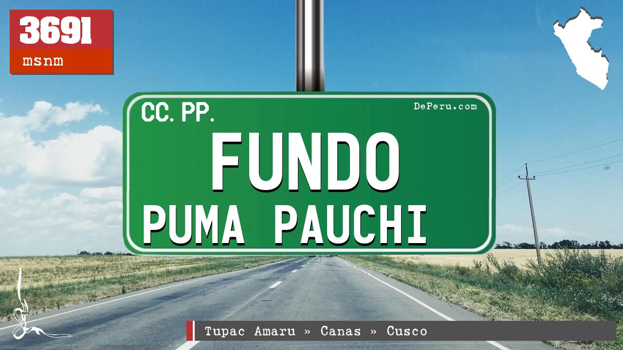Fundo Puma Pauchi