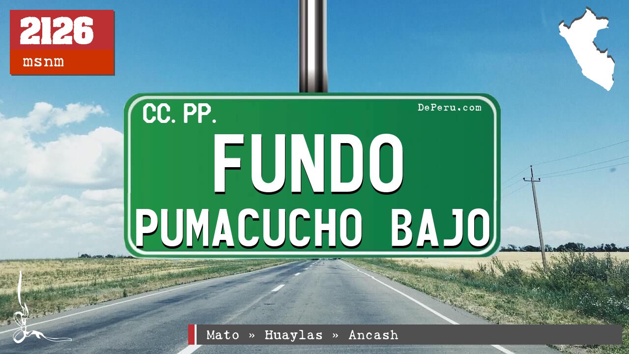 Fundo Pumacucho Bajo