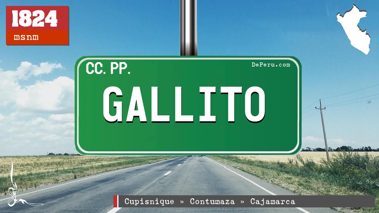 GALLITO