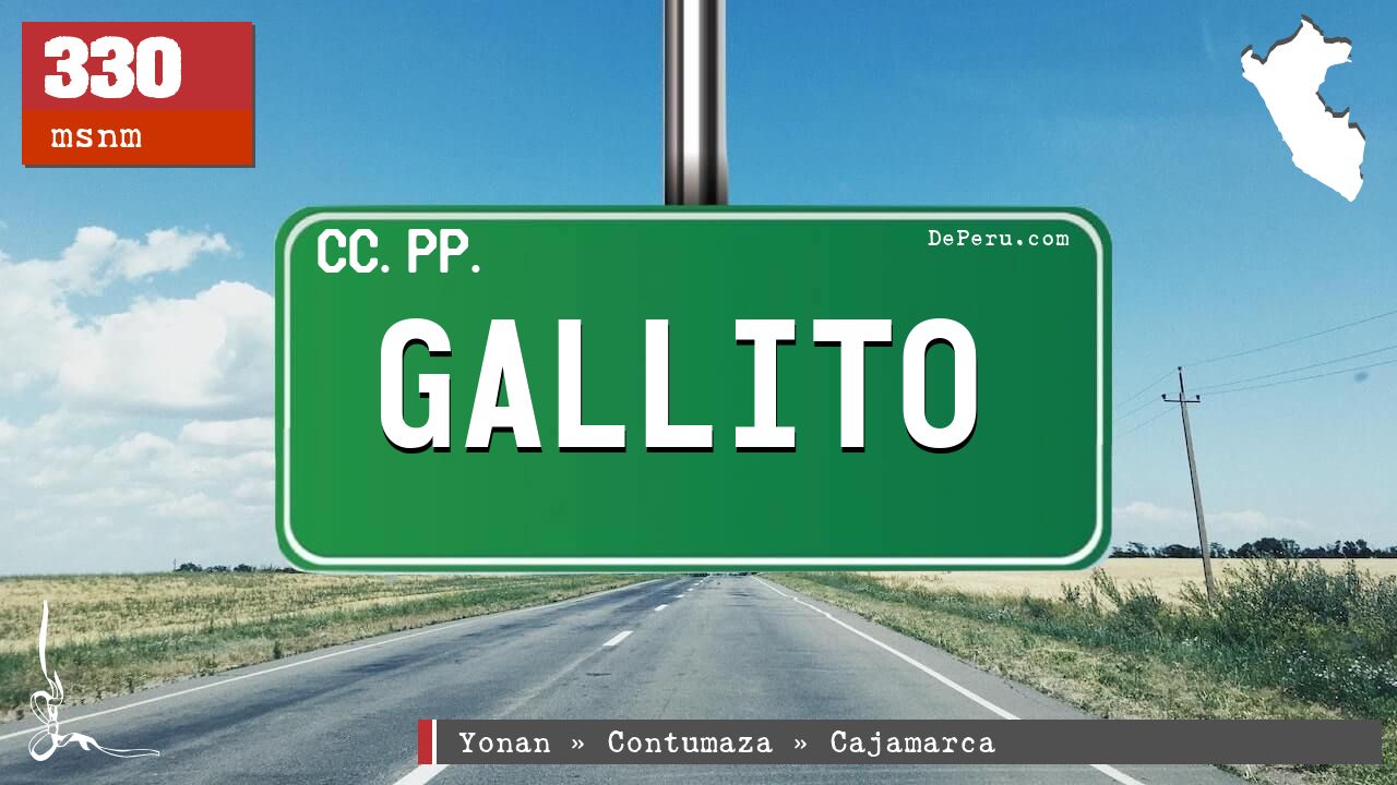 GALLITO