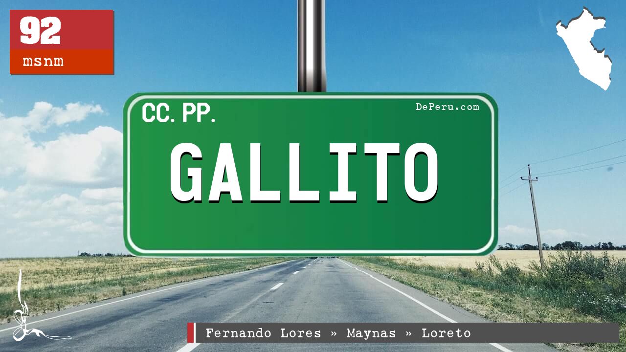 GALLITO