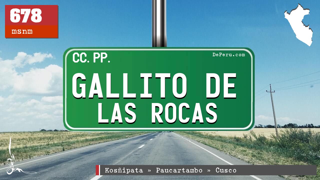 Gallito de las Rocas