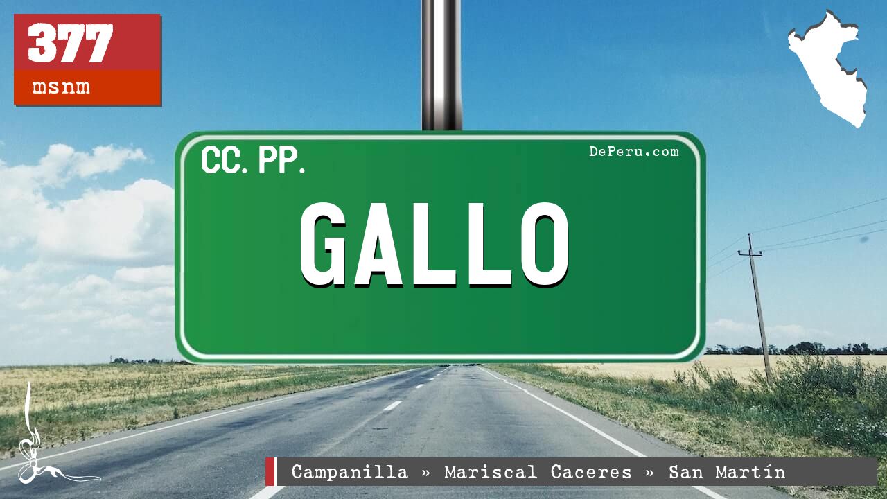 Gallo