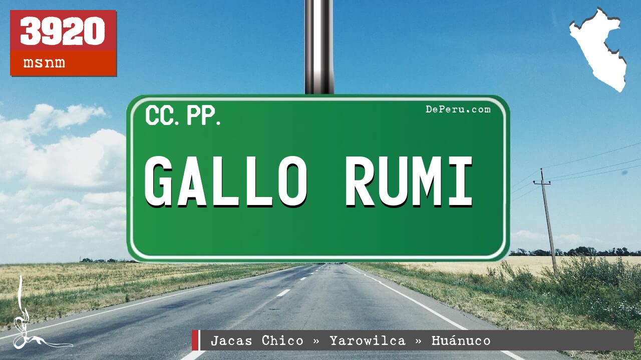 Gallo Rumi