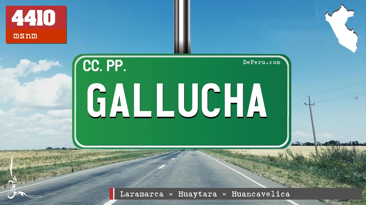 GALLUCHA