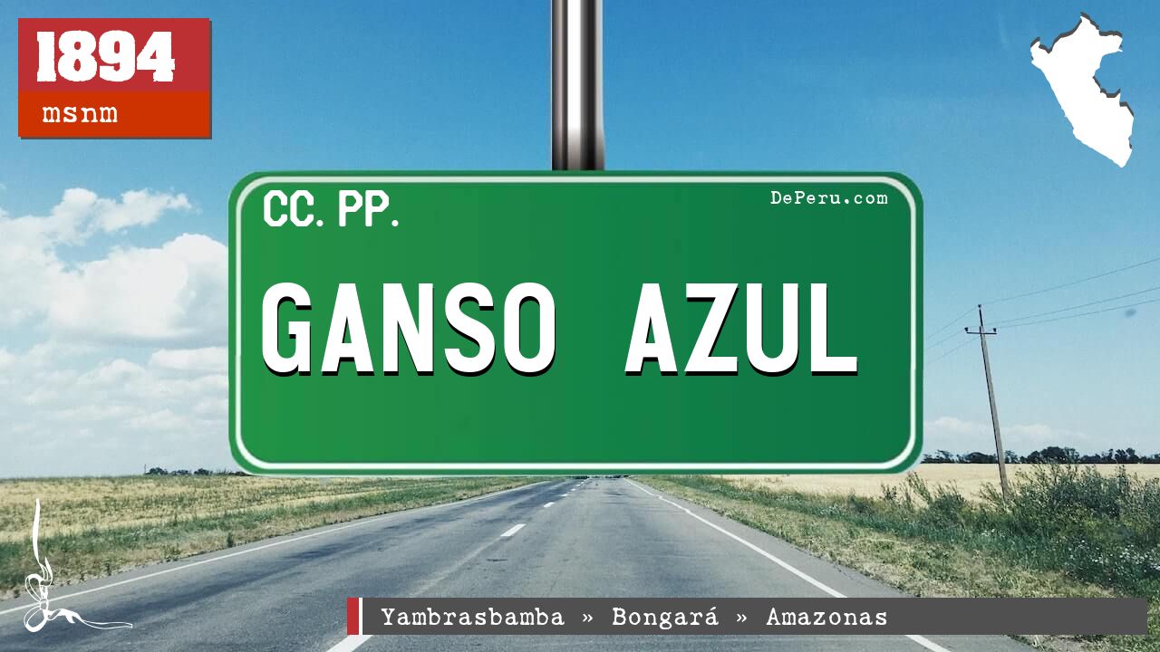 Ganso Azul