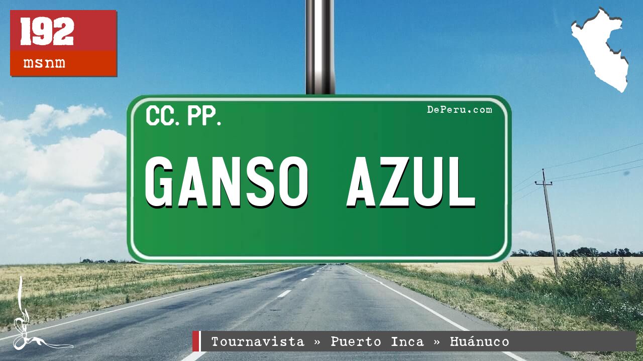 Ganso Azul