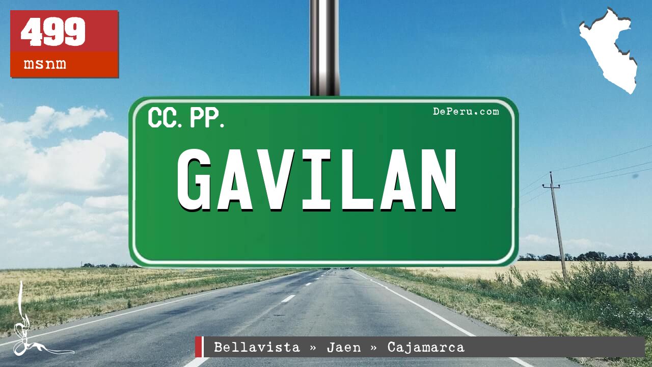 GAVILAN