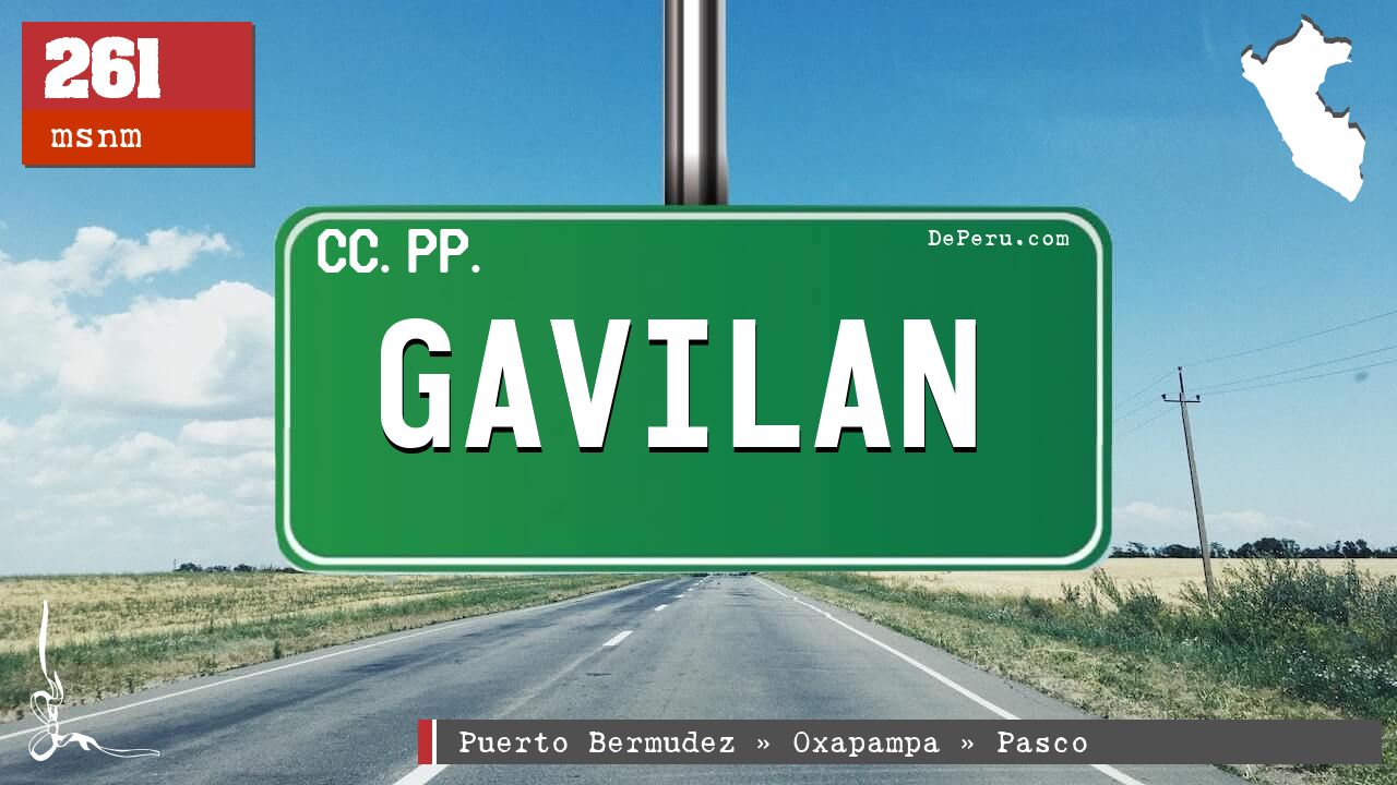 GAVILAN