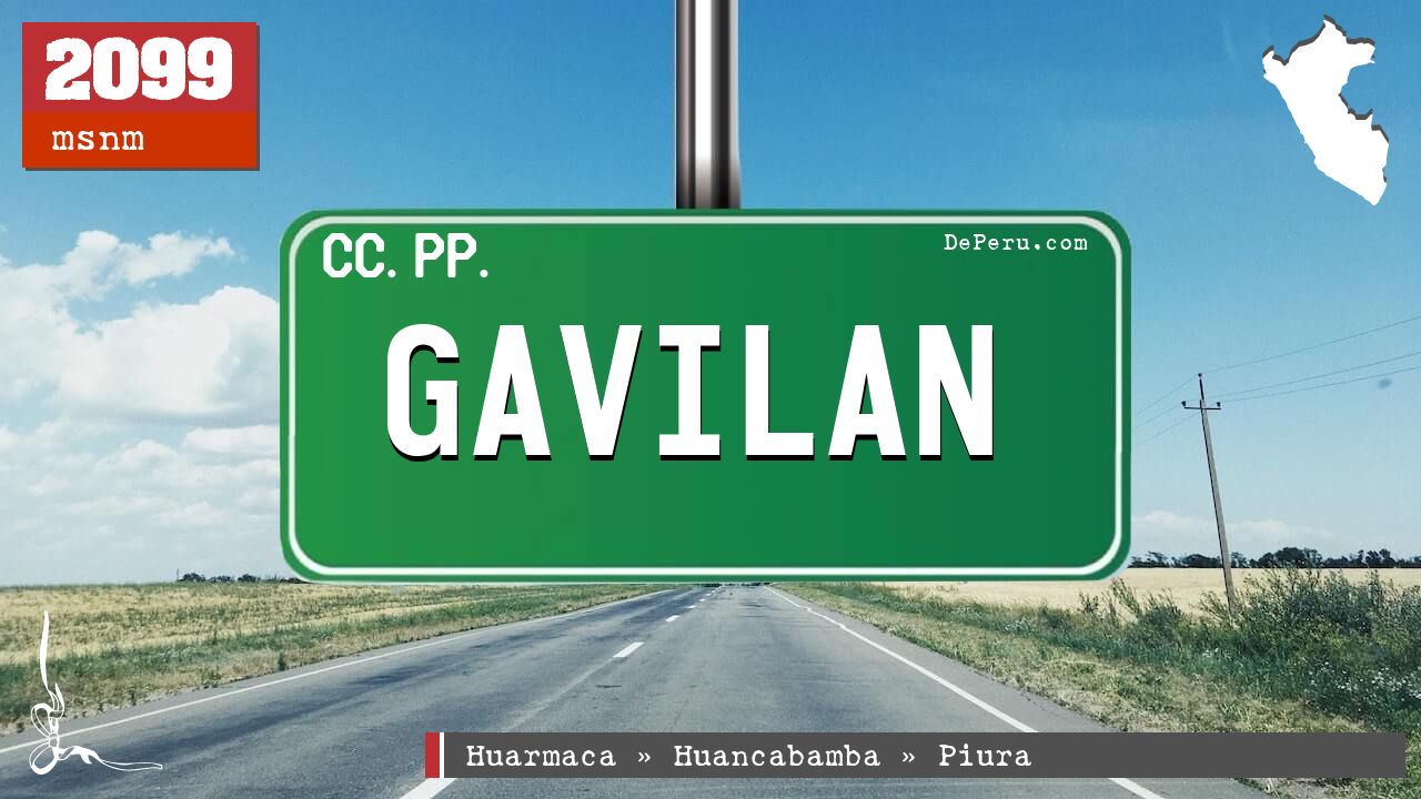 Gavilan