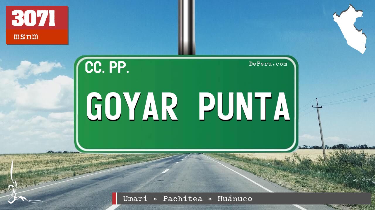 GOYAR PUNTA