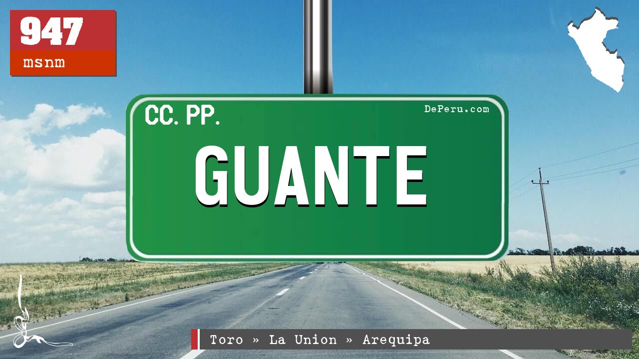 GUANTE