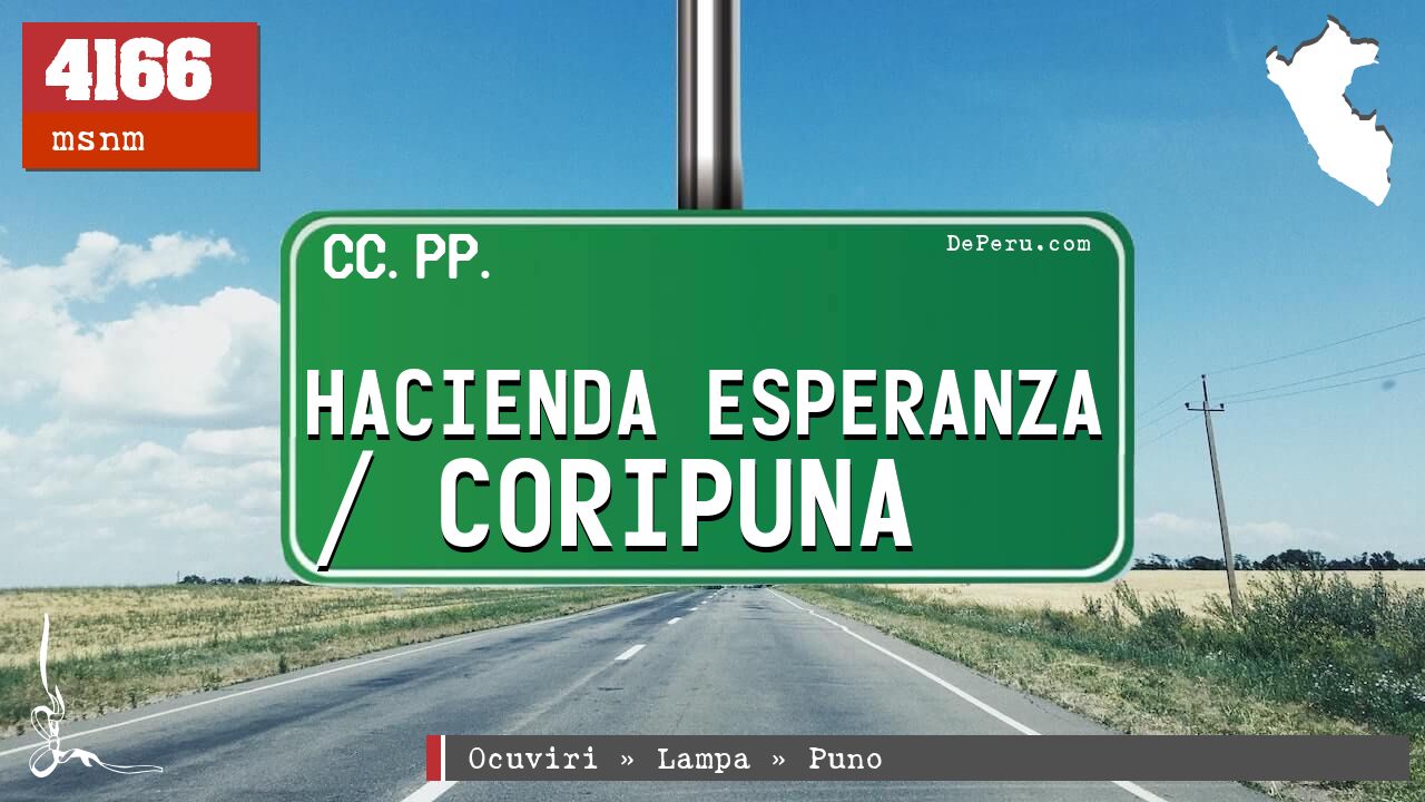 Hacienda Esperanza / Coripuna