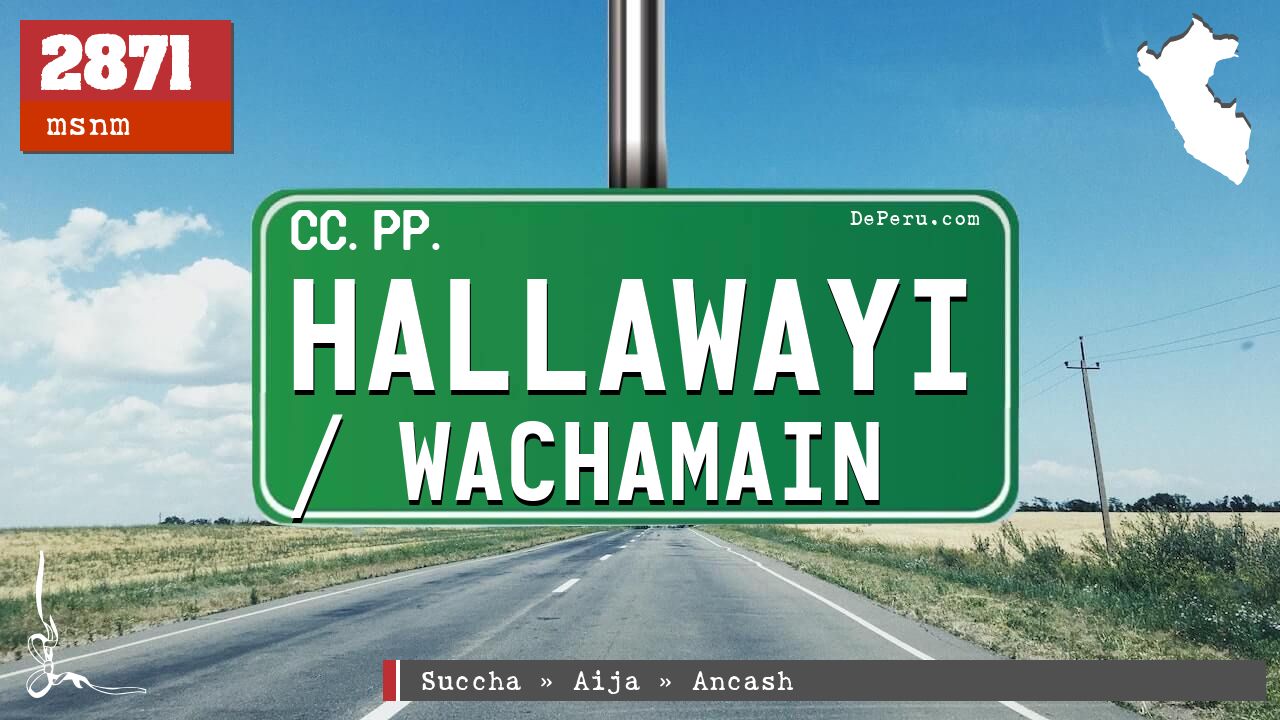 Hallawayi / Wachamain