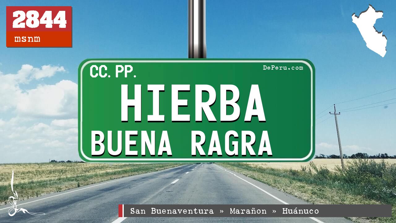 HIERBA