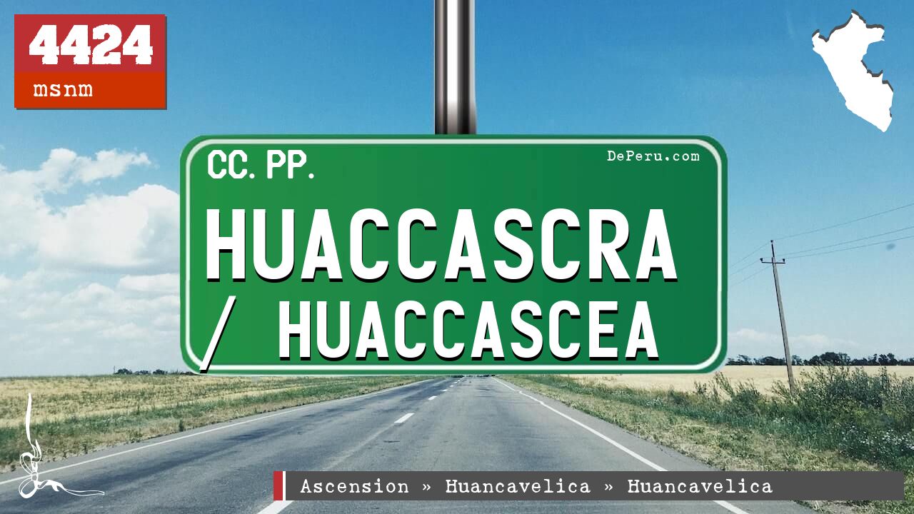 Huaccascra / Huaccascea