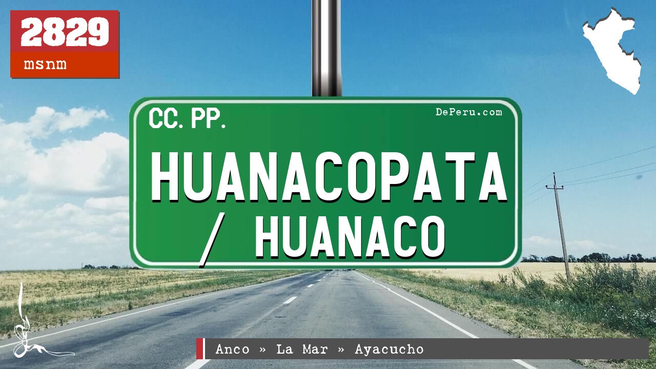 Huanacopata / Huanaco