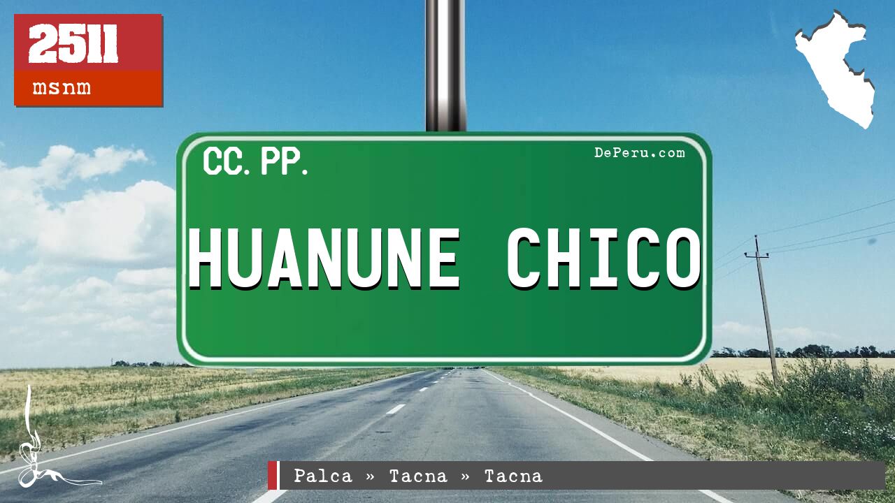 HUANUNE CHICO