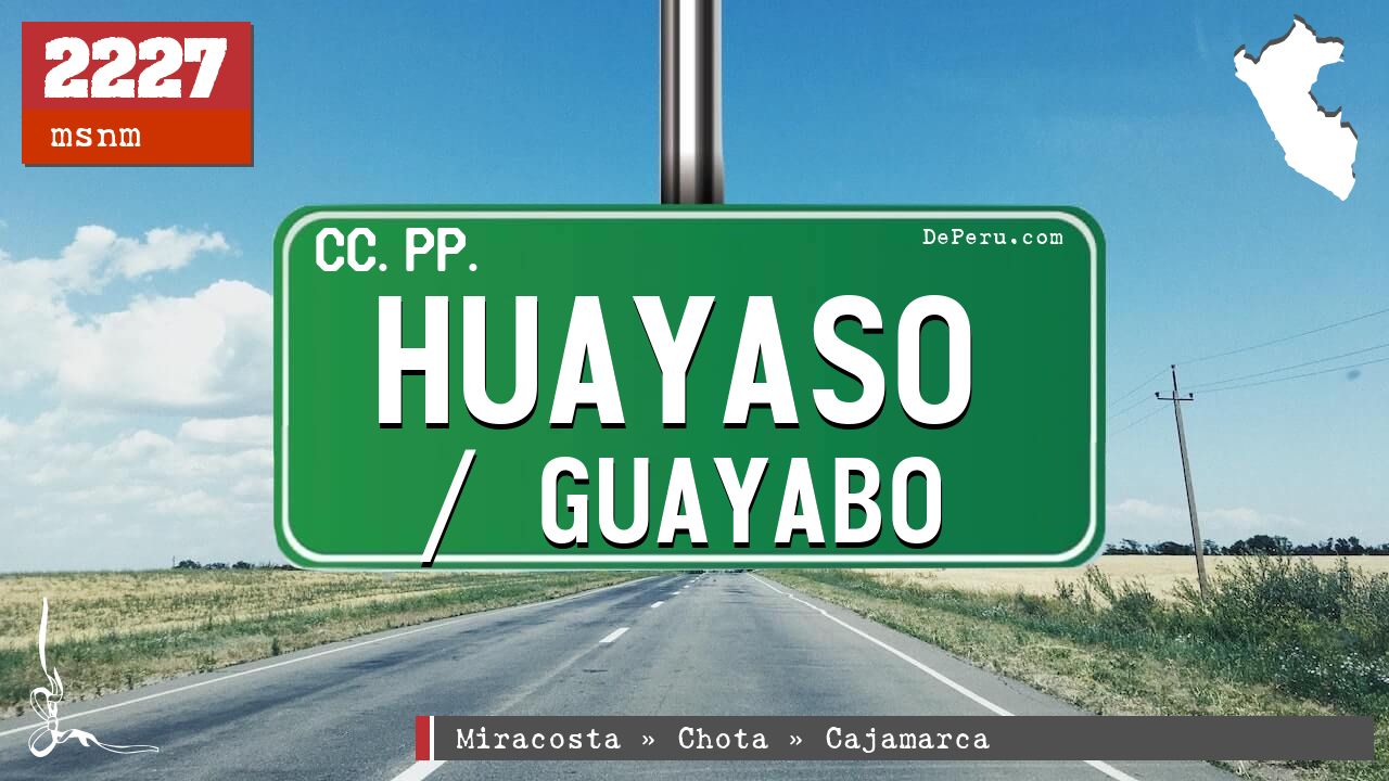 Huayaso / Guayabo
