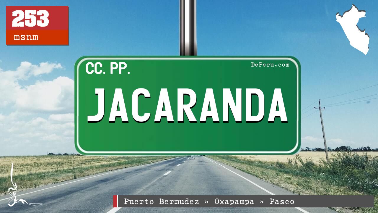 Jacaranda