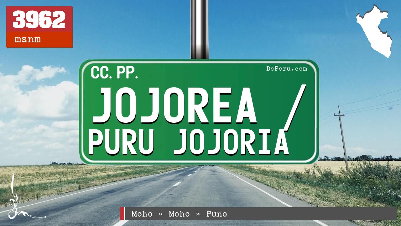 Jojorea / Puru Jojoria