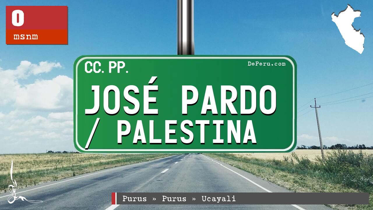 José Pardo / Palestina