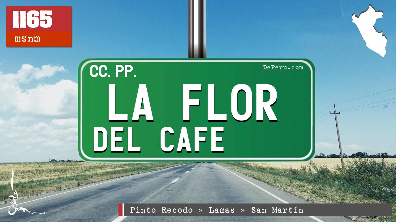 La Flor del Cafe