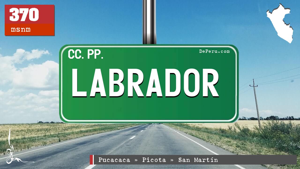 LABRADOR