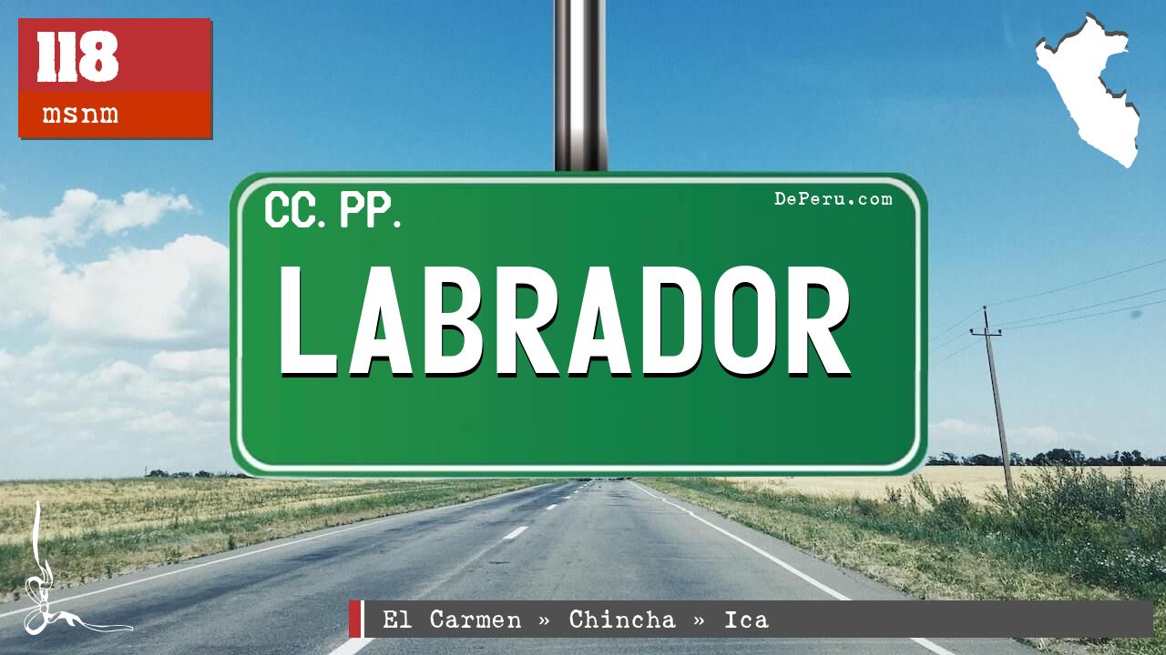 Labrador