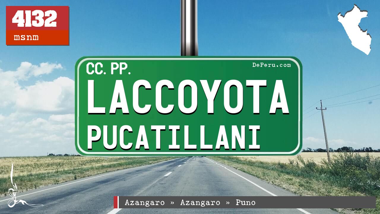Laccoyota Pucatillani
