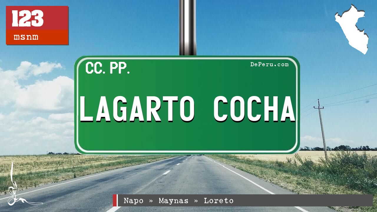 Lagarto Cocha