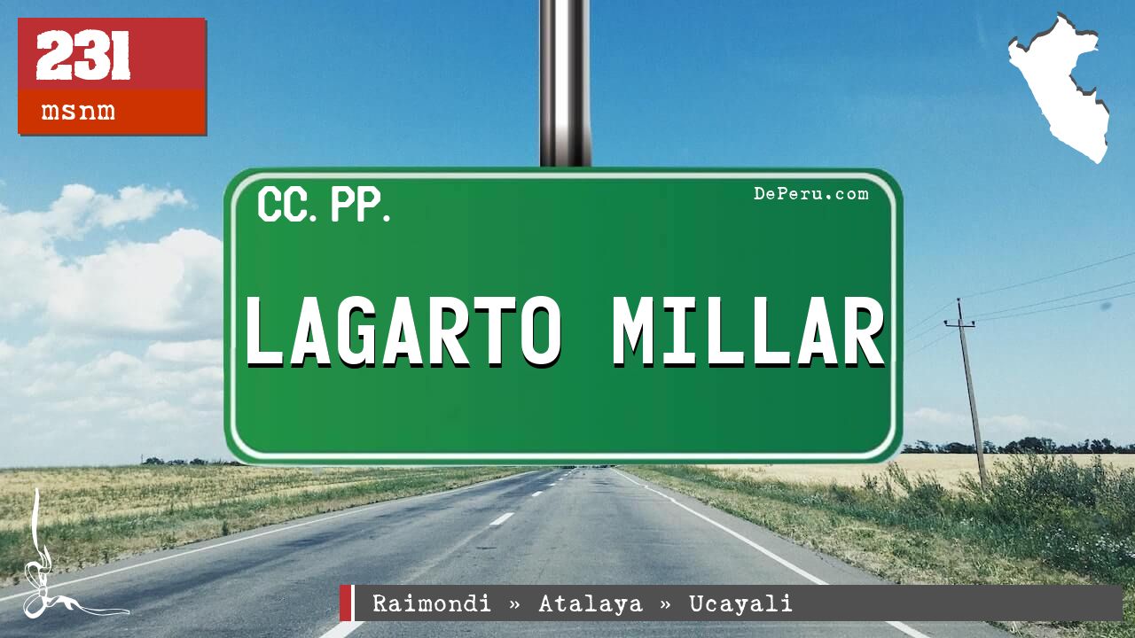 Lagarto Millar