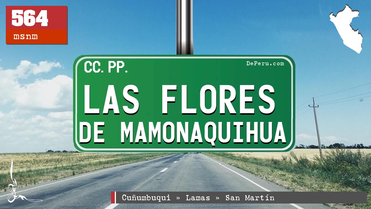 Las Flores de Mamonaquihua